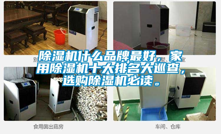 除濕機(jī)什么品牌最好，家用除濕機(jī)十大排名大巡查，選購(gòu)除濕機(jī)必讀。
