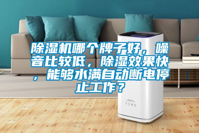 除濕機(jī)哪個(gè)牌子好，噪音比較低，除濕效果快，能夠水滿自動(dòng)斷電停止工作？