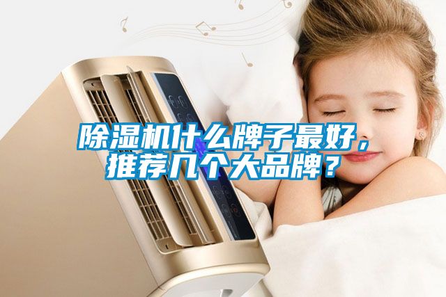 除濕機(jī)什么牌子最好，推薦幾個(gè)大品牌？