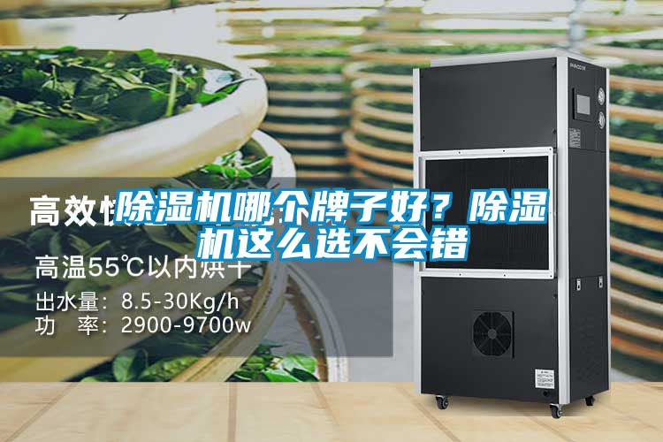 除濕機哪個牌子好？除濕機這么選不會錯