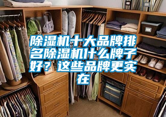 除濕機十大品牌排名除濕機什么牌子好？這些品牌更實在