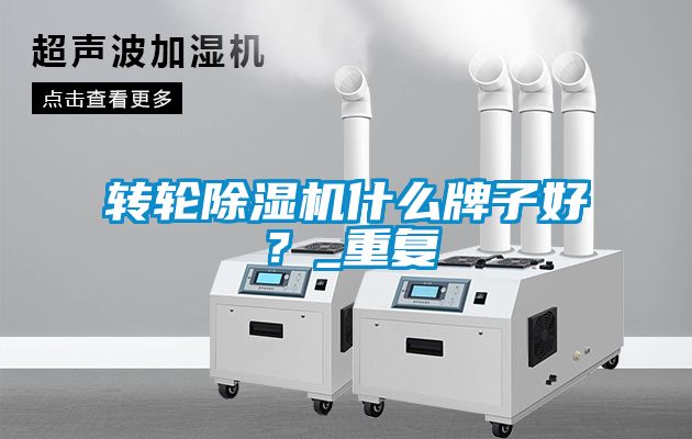 轉(zhuǎn)輪除濕機(jī)什么牌子好？_重復(fù)