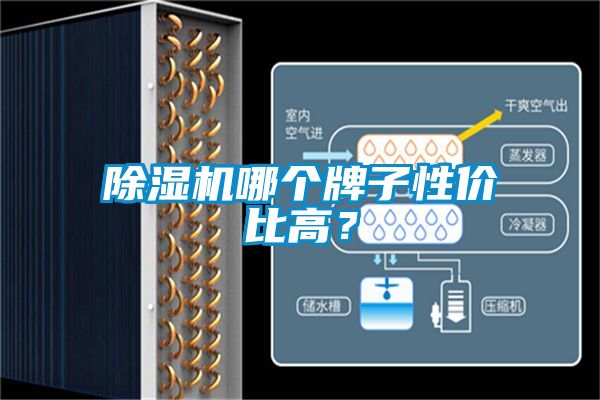 除濕機哪個牌子性價比高？