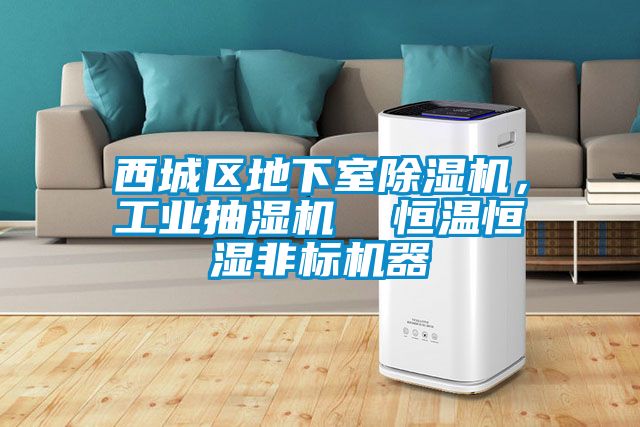 西城區(qū)地下室除濕機，工業(yè)抽濕機  恒溫恒濕非標機器