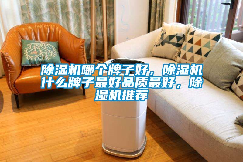 除濕機(jī)哪個(gè)牌子好，除濕機(jī)什么牌子最好品質(zhì)最好，除濕機(jī)推薦
