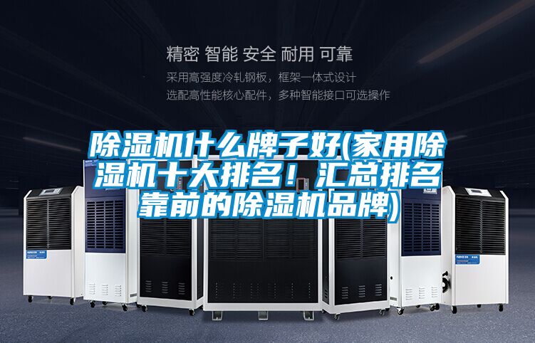除濕機(jī)什么牌子好(家用除濕機(jī)十大排名！匯總排名靠前的除濕機(jī)品牌)