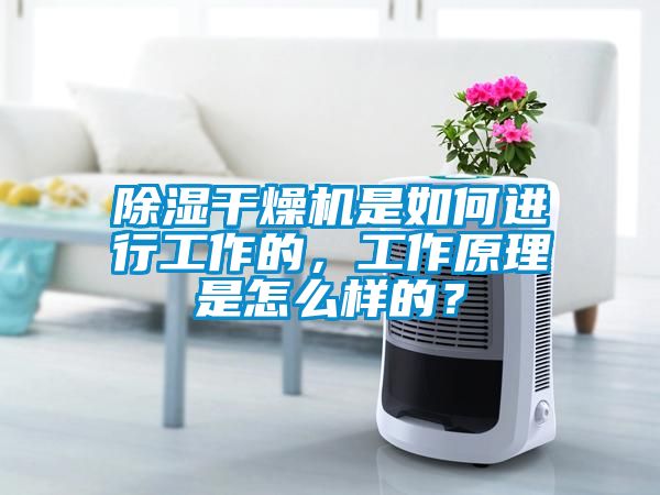 除濕干燥機(jī)是如何進(jìn)行工作的，工作原理是怎么樣的？