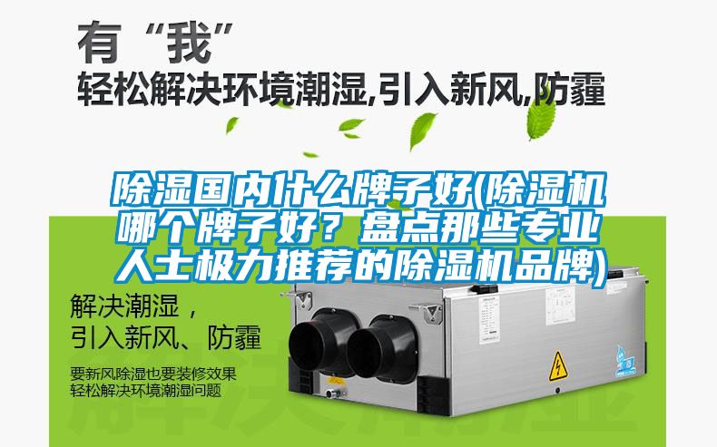 除濕國內(nèi)什么牌子好(除濕機(jī)哪個(gè)牌子好？盤點(diǎn)那些專業(yè)人士極力推薦的除濕機(jī)品牌)