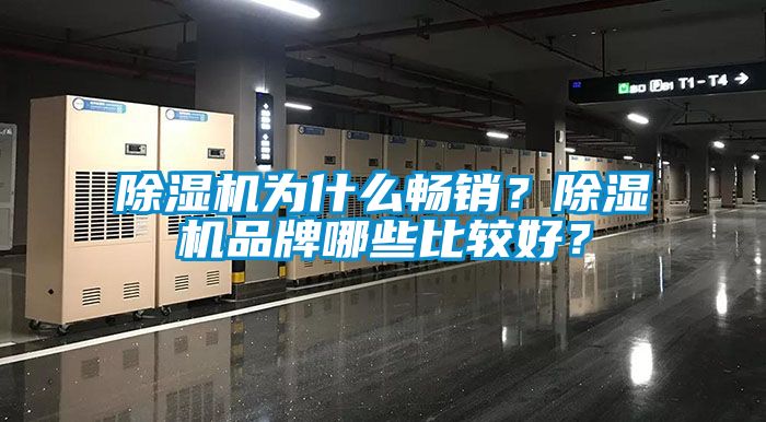 除濕機(jī)為什么暢銷？除濕機(jī)品牌哪些比較好？