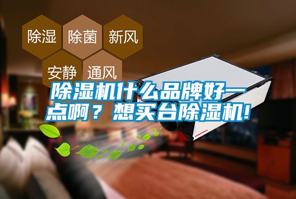 除濕機(jī)什么品牌好一點(diǎn)??？想買臺(tái)除濕機(jī)!
