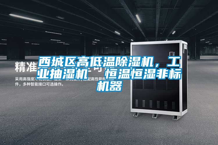 西城區(qū)高低溫除濕機，工業(yè)抽濕機  恒溫恒濕非標機器