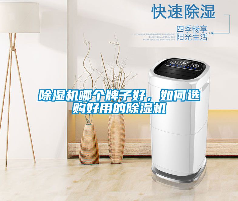 除濕機(jī)哪個(gè)牌子好，如何選購(gòu)好用的除濕機(jī)