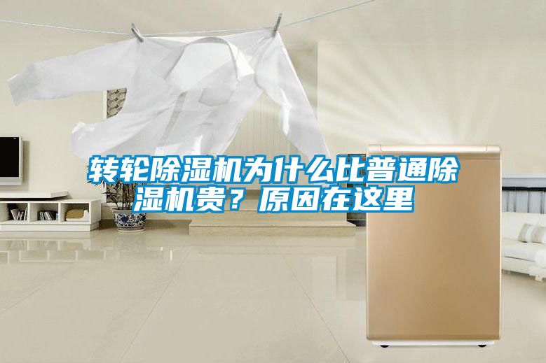 轉(zhuǎn)輪除濕機(jī)為什么比普通除濕機(jī)貴？原因在這里