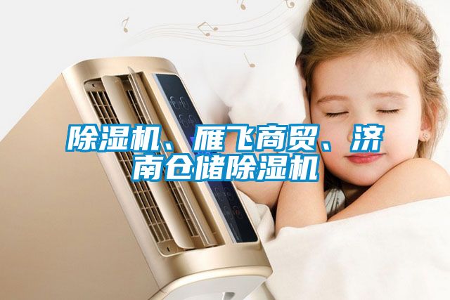 除濕機(jī)、雁飛商貿(mào)、濟(jì)南倉(cāng)儲(chǔ)除濕機(jī)