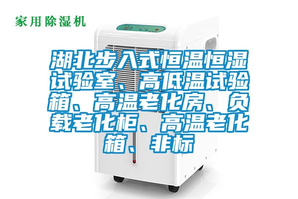 湖北步入式恒溫恒濕試驗室、高低溫試驗箱、高溫老化房、負載老化柜、高溫老化箱、非標