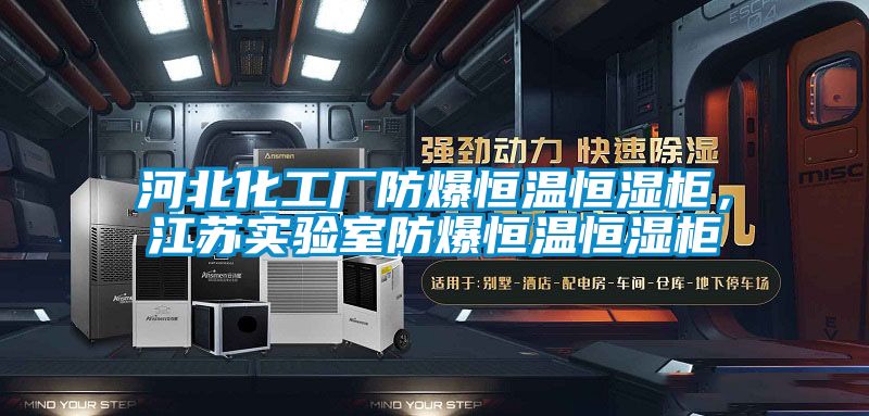 河北化工廠防爆恒溫恒濕柜，江蘇實(shí)驗(yàn)室防爆恒溫恒濕柜