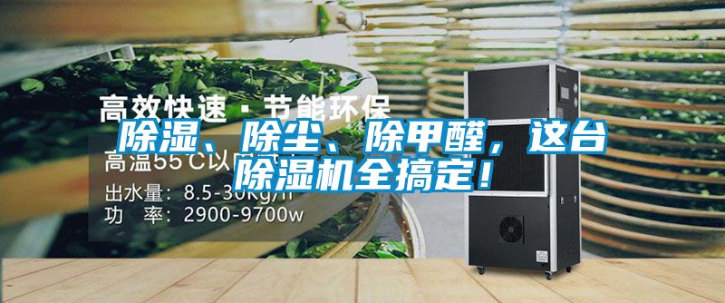 除濕、除塵、除甲醛，這臺(tái)除濕機(jī)全搞定！