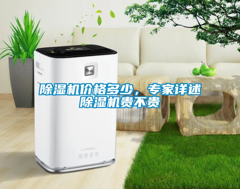 除濕機價格多少，專家詳述除濕機貴不貴