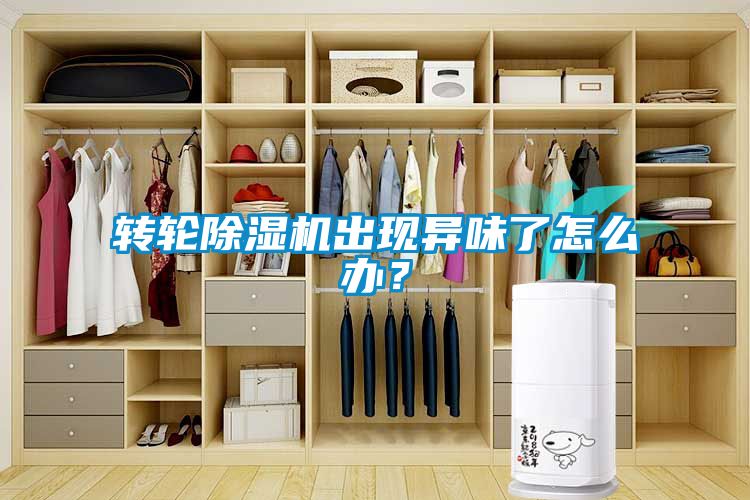 轉(zhuǎn)輪除濕機(jī)出現(xiàn)異味了怎么辦？
