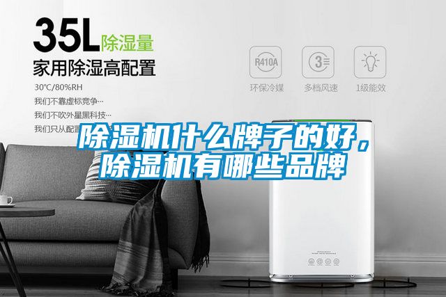 除濕機(jī)什么牌子的好，除濕機(jī)有哪些品牌
