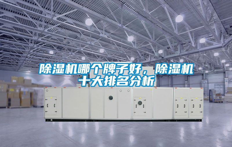 除濕機(jī)哪個(gè)牌子好，除濕機(jī)十大排名分析