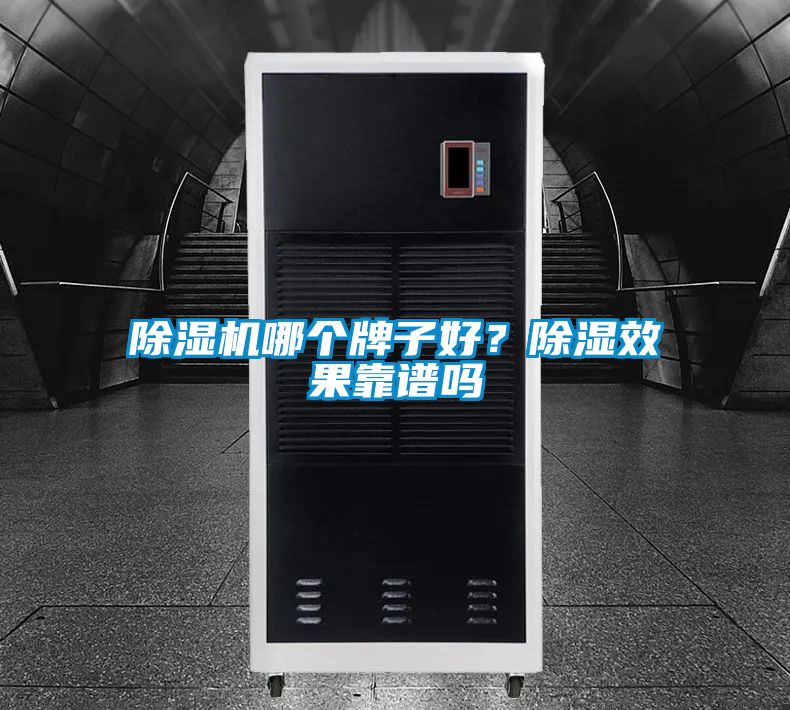 除濕機(jī)哪個(gè)牌子好？除濕效果靠譜嗎
