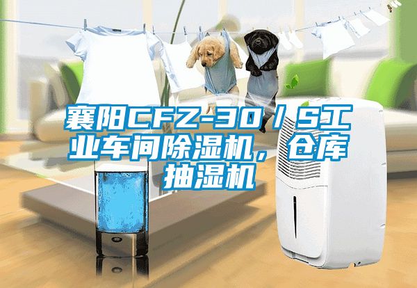 襄陽CFZ-30／S工業(yè)車間除濕機，倉庫抽濕機