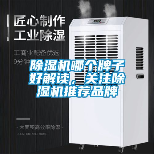 除濕機(jī)哪個(gè)牌子好解讀，關(guān)注除濕機(jī)推薦品牌