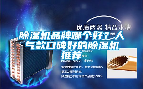 除濕機品牌哪個好？人氣款口碑好的除濕機推薦