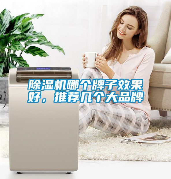 除濕機(jī)哪個(gè)牌子效果好，推薦幾個(gè)大品牌