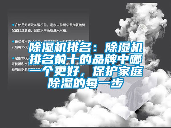 除濕機(jī)排名：除濕機(jī)排名前十的品牌中哪一個(gè)更好，保護(hù)家庭除濕的每一步