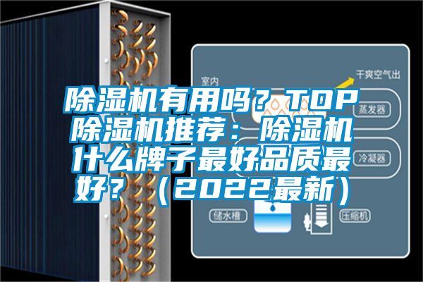 除濕機(jī)有用嗎？TOP除濕機(jī)推薦：除濕機(jī)什么牌子最好品質(zhì)最好？（2022最新）