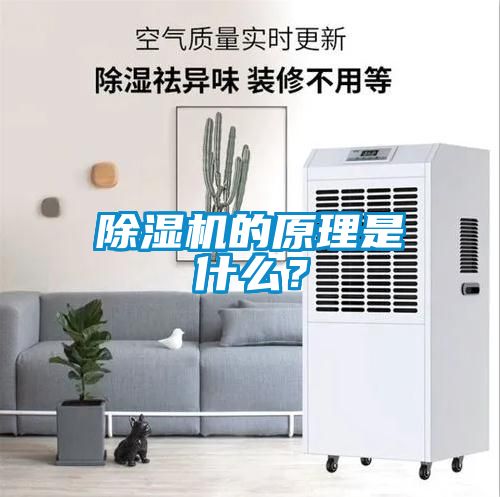 除濕機(jī)的原理是什么？