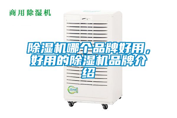 除濕機(jī)哪個(gè)品牌好用，好用的除濕機(jī)品牌介紹