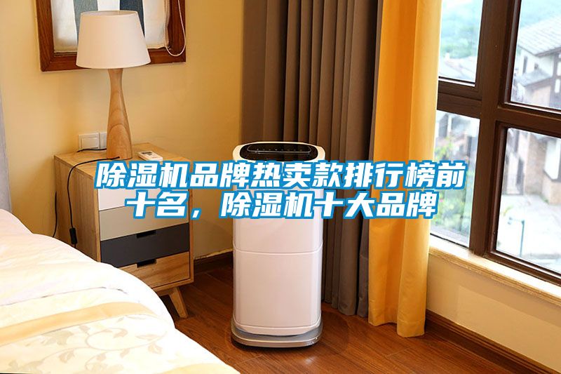 除濕機品牌熱賣款排行榜前十名，除濕機十大品牌