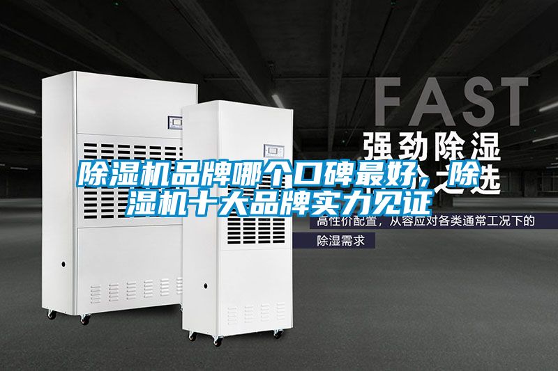 除濕機品牌哪個口碑最好，除濕機十大品牌實力見證