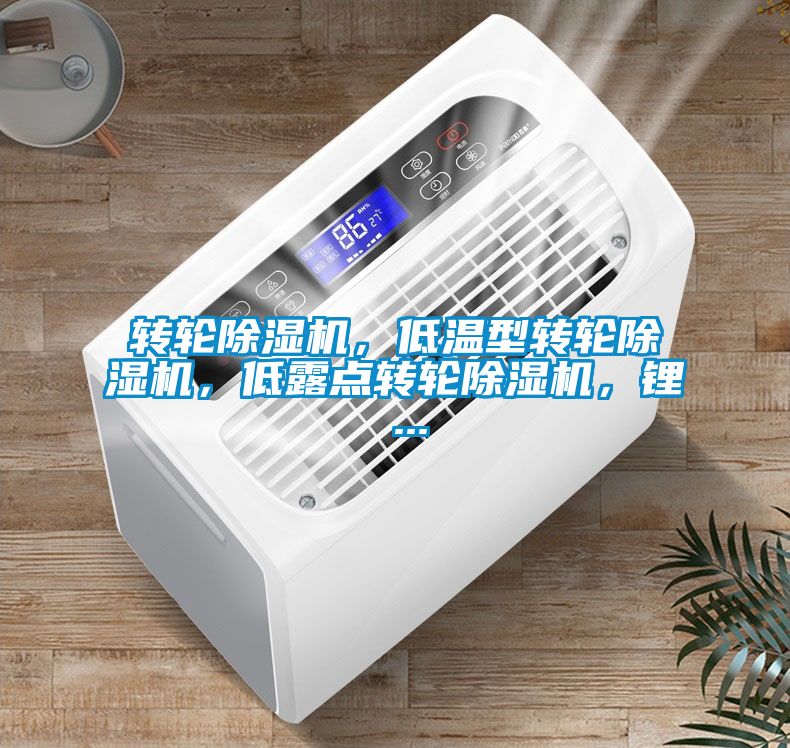 轉(zhuǎn)輪除濕機(jī)，低溫型轉(zhuǎn)輪除濕機(jī)，低露點(diǎn)轉(zhuǎn)輪除濕機(jī)，鋰 ...
