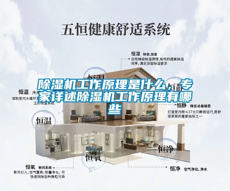 除濕機工作原理是什么，專家詳述除濕機工作原理有哪些