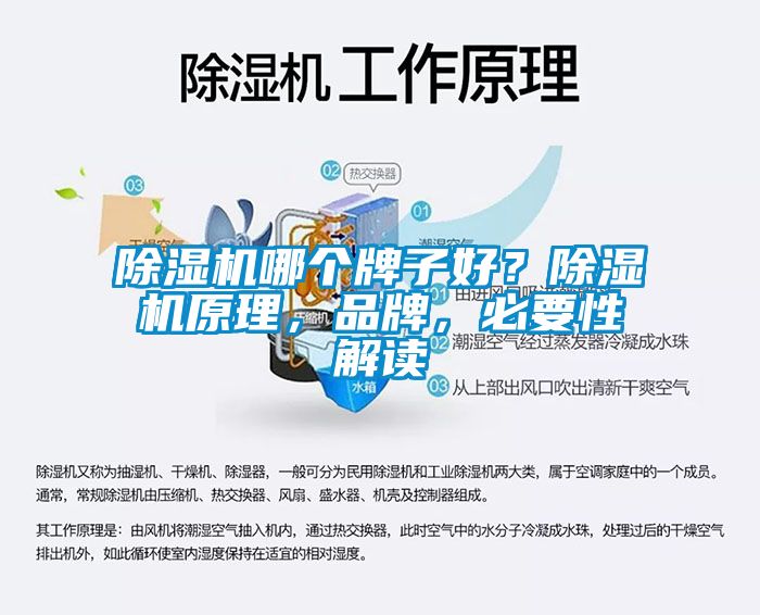 除濕機哪個牌子好？除濕機原理，品牌，必要性解讀