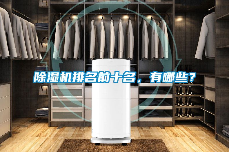 除濕機(jī)排名前十名，有哪些？