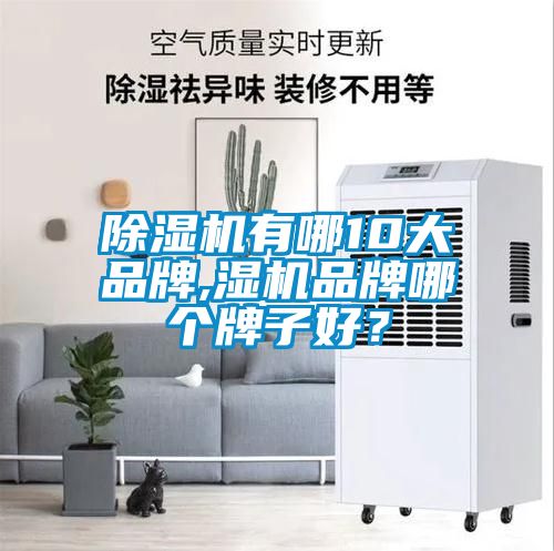 除濕機(jī)有哪10大品牌,濕機(jī)品牌哪個牌子好？