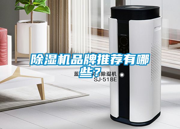 除濕機(jī)品牌推薦有哪些？