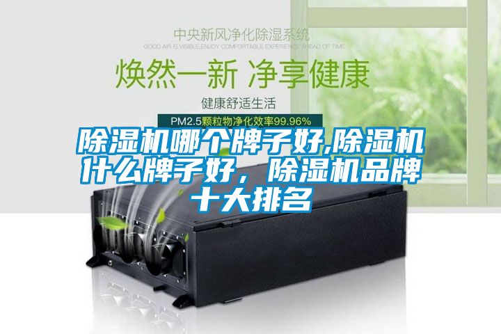 除濕機哪個牌子好,除濕機什么牌子好，除濕機品牌十大排名