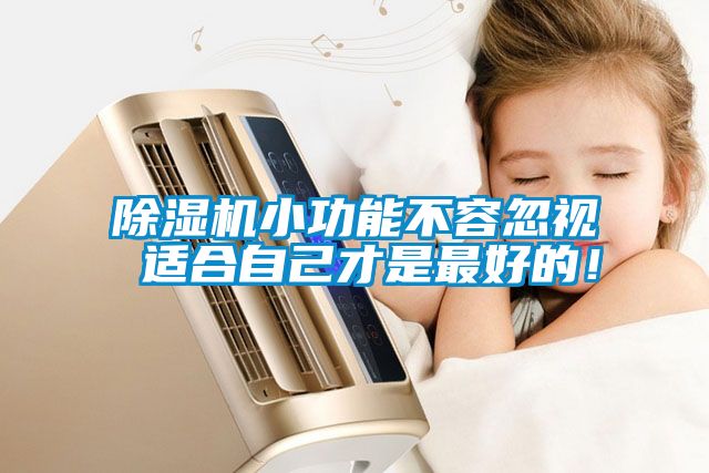 除濕機小功能不容忽視 適合自己才是最好的！