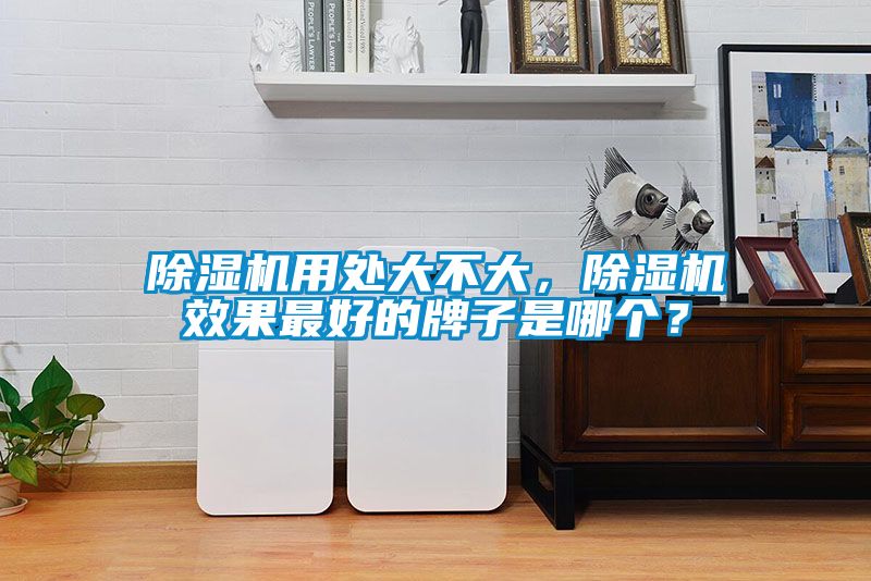 除濕機(jī)用處大不大，除濕機(jī)效果最好的牌子是哪個(gè)？