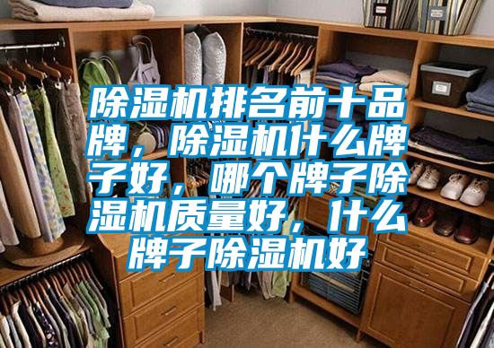 除濕機(jī)排名前十品牌，除濕機(jī)什么牌子好，哪個(gè)牌子除濕機(jī)質(zhì)量好，什么牌子除濕機(jī)好