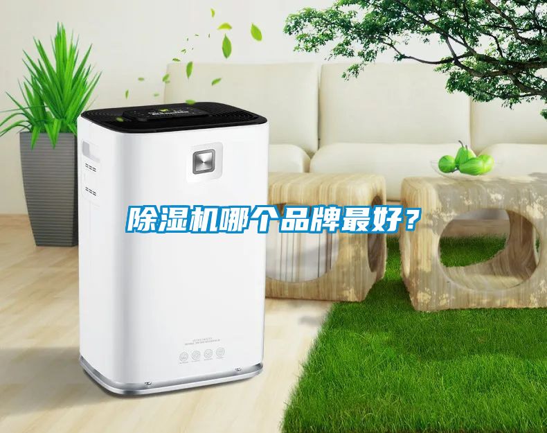 除濕機哪個品牌最好？
