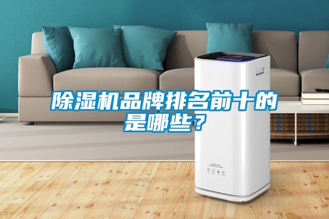 除濕機(jī)品牌排名前十的是哪些？
