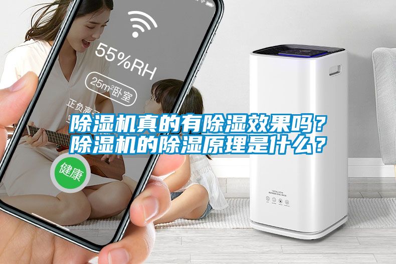 除濕機(jī)真的有除濕效果嗎？除濕機(jī)的除濕原理是什么？