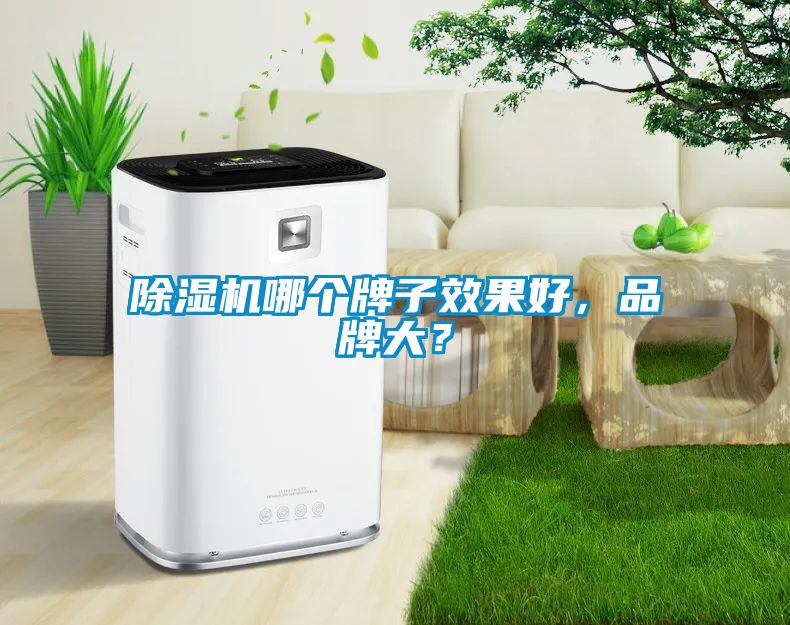 除濕機(jī)哪個(gè)牌子效果好，品牌大？